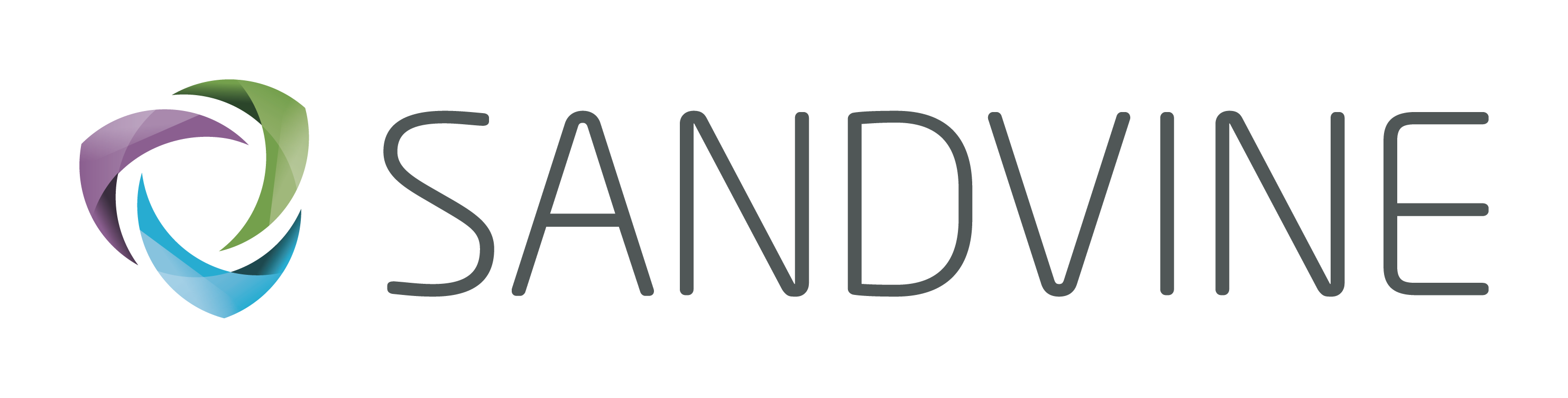 Sandvine_logo_RGB_HR (1)